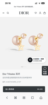 China Replica Dior Earrings 25usd Only